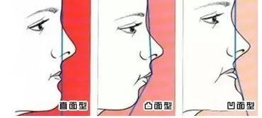 久久久久久免费精品推荐