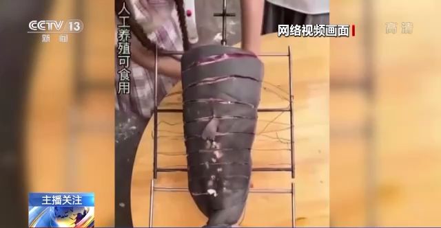 三角洲骇爪黄图