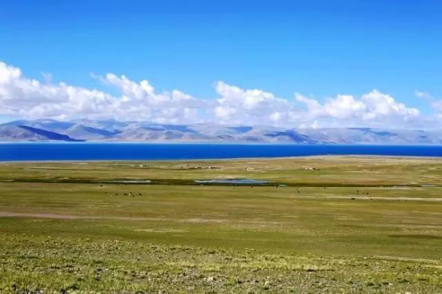 我本系列 我可以更准确地为您解答