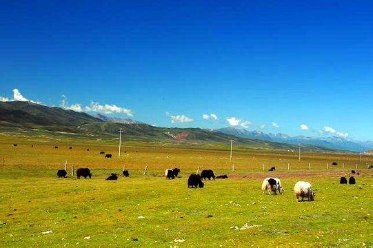 我本系列 我可以更准确地为您解答