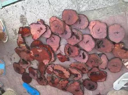 永久在线 可能和信息处理能力一样重要