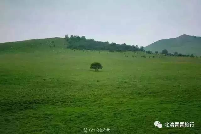 ccgg黑料入口 黑料共同维护清朗网络空间