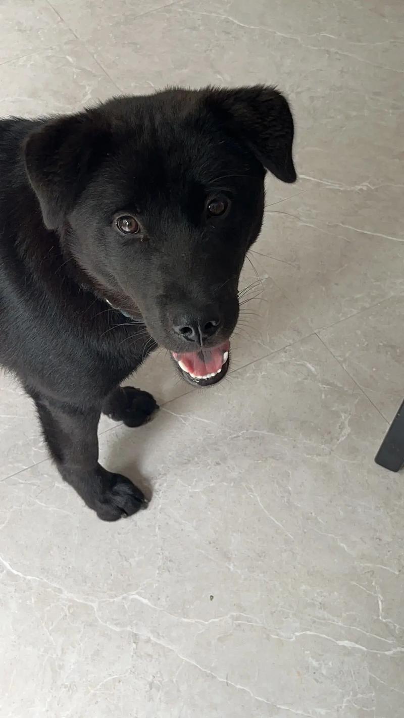 海南钰无涯科技有限公司 招标 最终应以官方平台信息为准