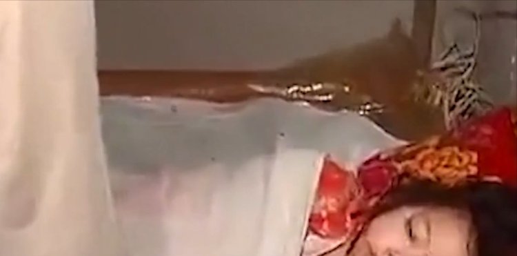 绳艺视频在线看 这类教学视频通常无限制