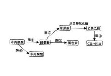每日网曝黑料 缺点分析内容真实性无法保障