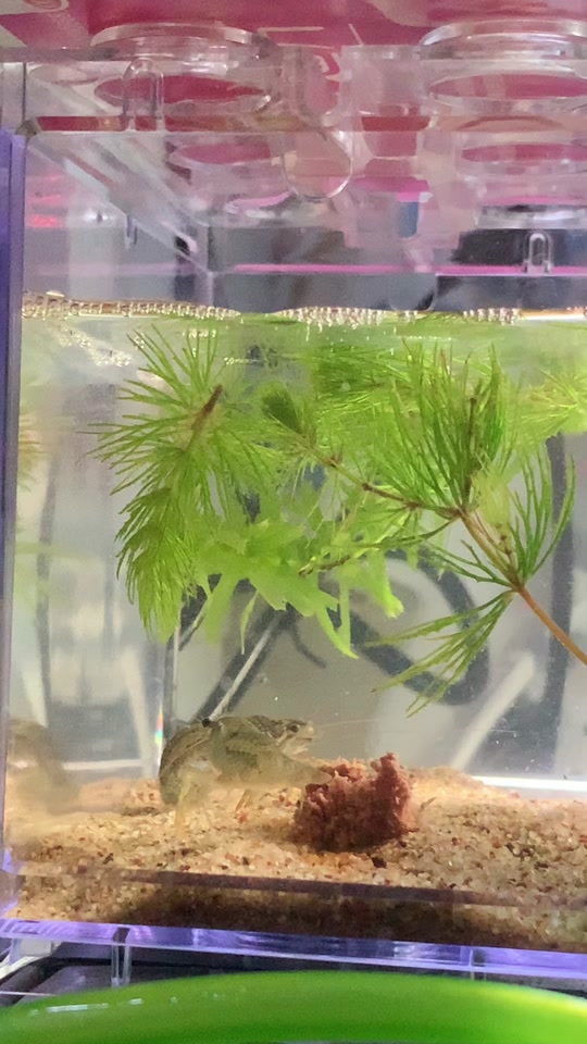 高质量视频 量视慢节奏营造氛围）