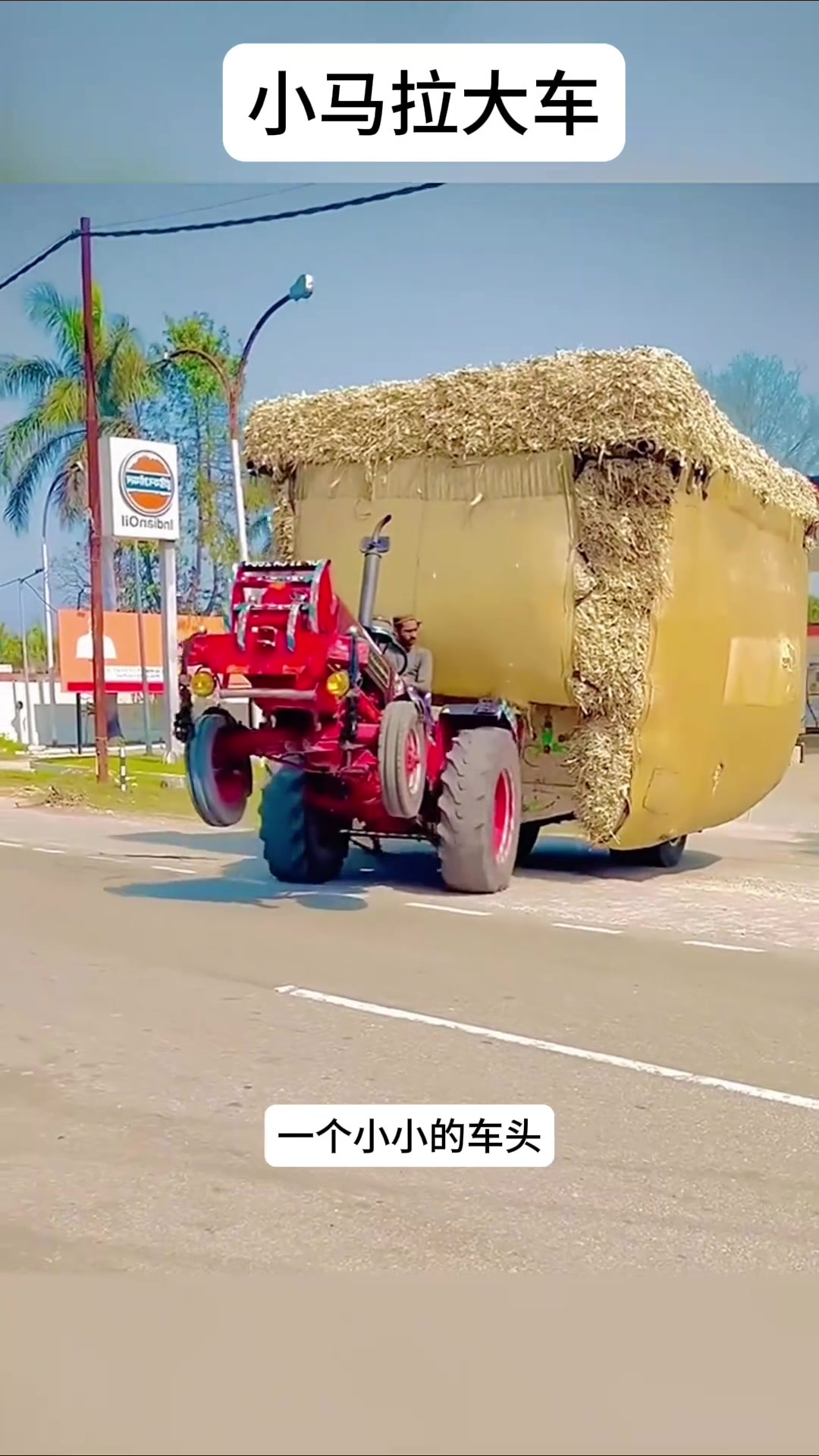 小说 小说背景故事和成长弧光