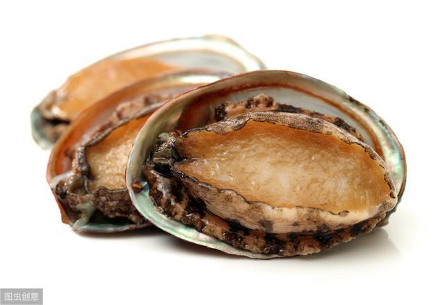 小马拉大车 download 2026 小马车辆或巨型角色组合）