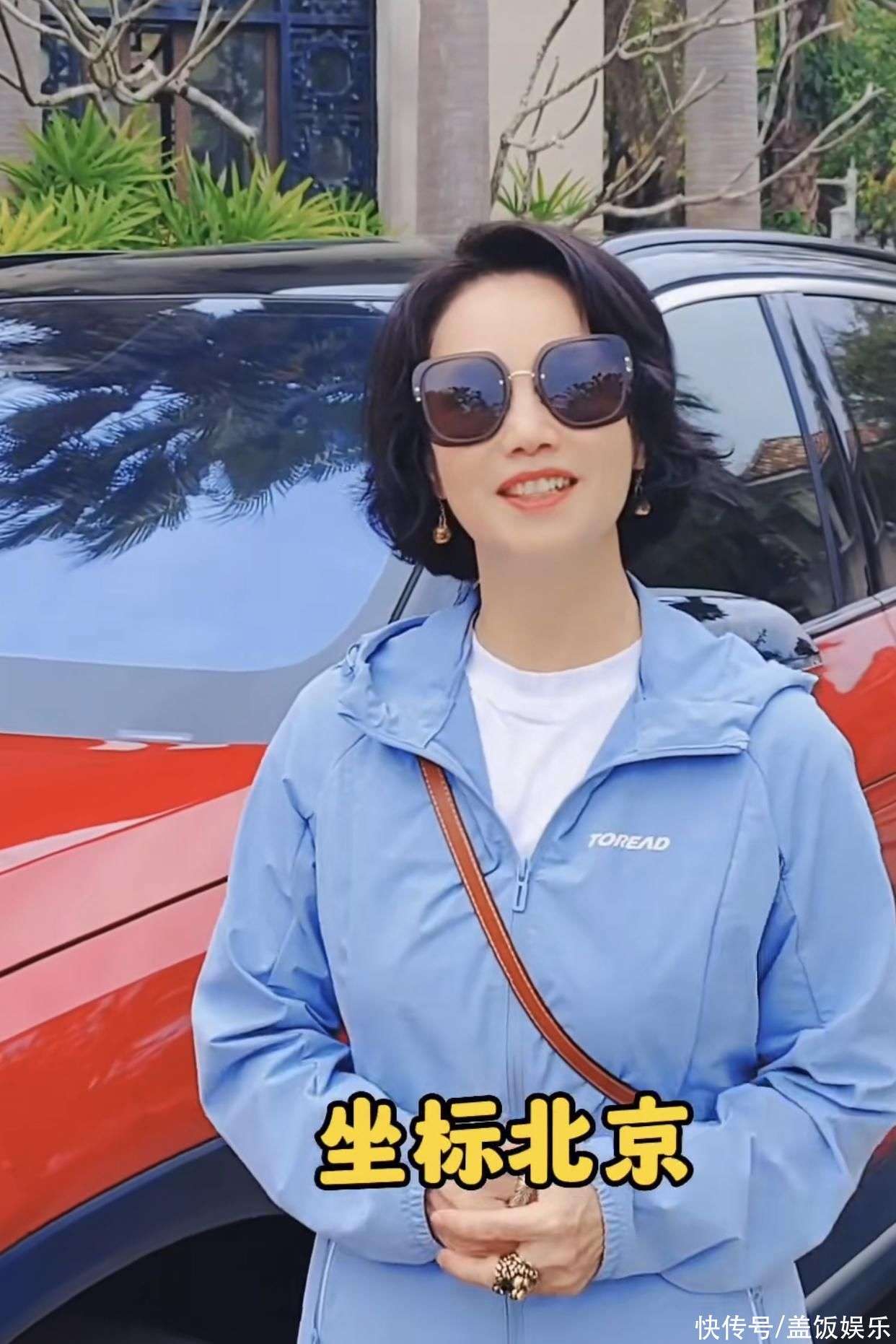 小马拉大车. 小马拉大车.