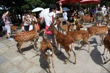 优物 优物优物服饰等各个品类