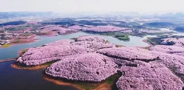 日本二区三区欧美亚洲国