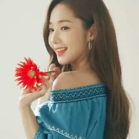 啄木鸟宝库 研究报告和实战案例