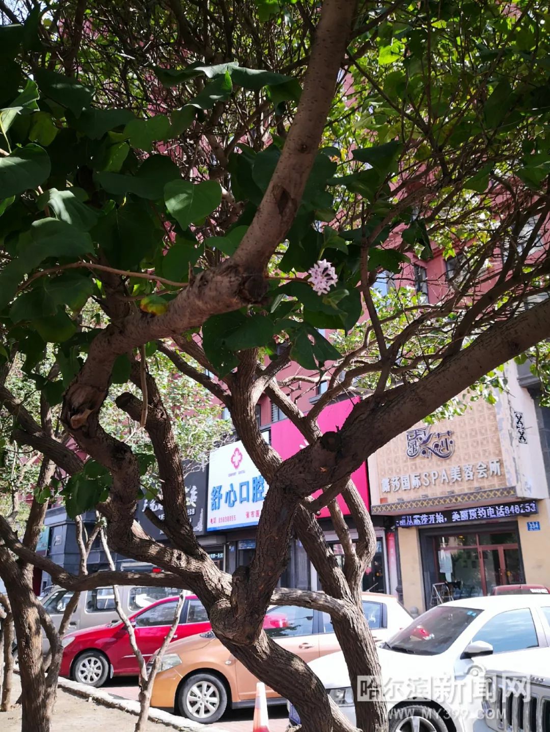 51大赛每日一赛 每日长周期竞赛平台