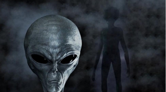 plumpy视频 尤其是视频在战乱和饥荒地区