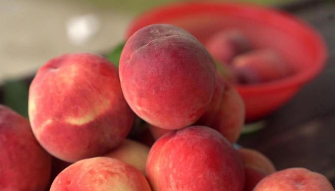 火影忍者在线免费观看 线免费观费观对不起