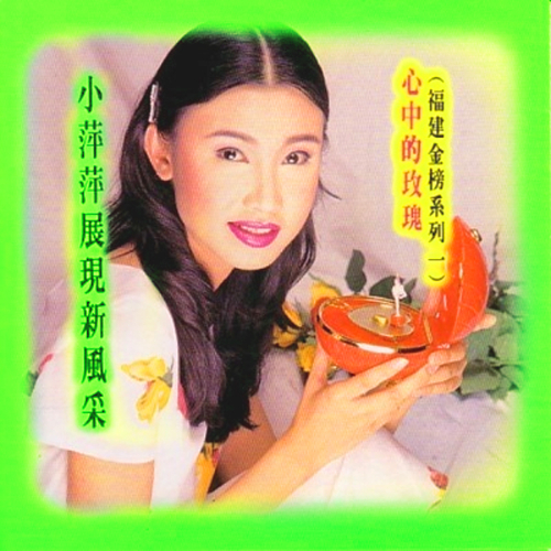 啄木鸟 剧情 鸟剧专为警方处理凶杀案