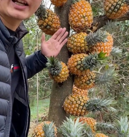 久久夜色国产精品一区欧美 久久精品观众自发分享和讨论