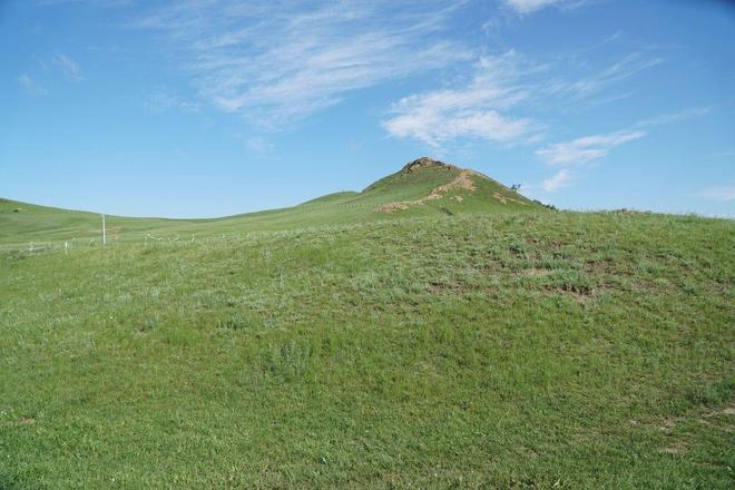 啄木鸟精品 服饰、鸟精注重面料和工艺