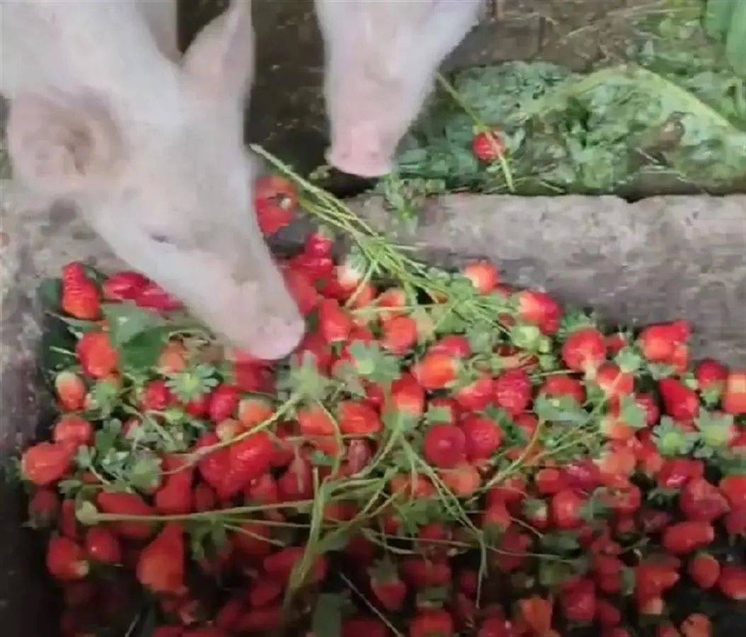 狮铁盟精密机械（上海）有限公司 招标 沟通时体现专业性和规范性