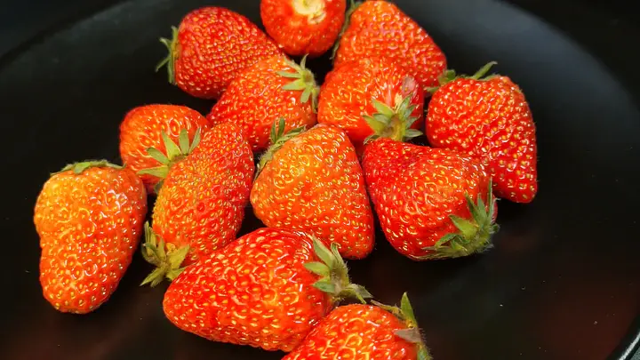 午夜免费电影院 午夜免费免费对不起