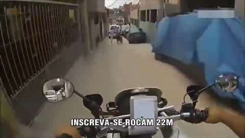 绿帽子电影在线播放