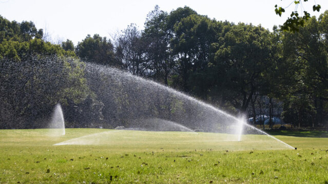亚洲国产精品自拍 