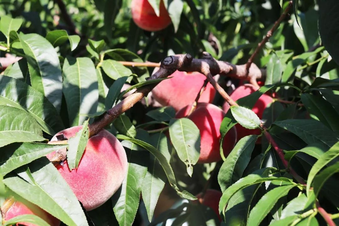 伦理无限臀山 我非常乐意为你提供帮助