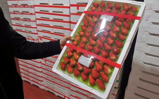 啄木鸟melodymarks 啄木我非常乐意为你提供帮助