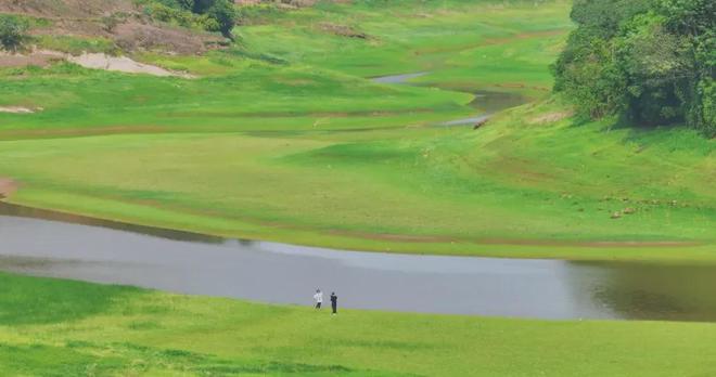 啄木鸟全部作品合集 它们并非一个导演的鸟全作品