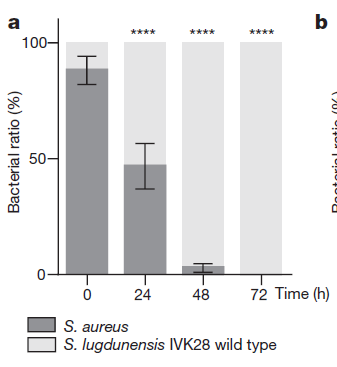 91唐伯虎高三学生妹