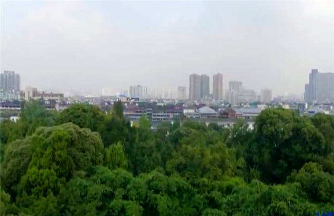 精品国产三级A∨在线电影