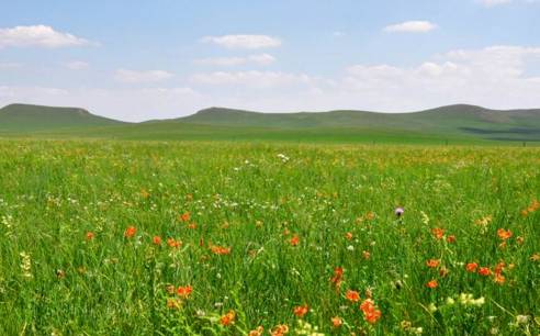 福利在线 福利线甚至犯罪行为