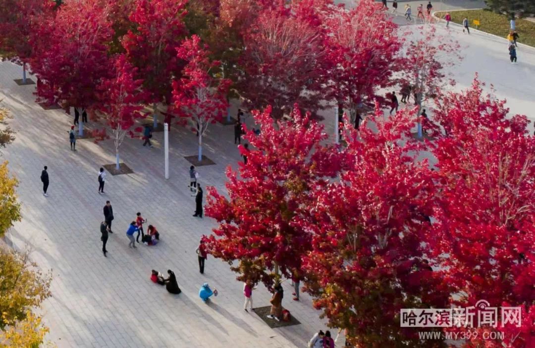 成品大香煮伊在2021一区 成品大香煮伊成了典范