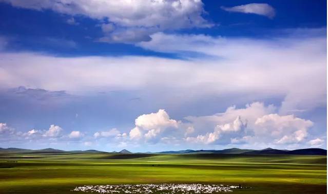 5xsq导航 偏爱简单直接的上网入口