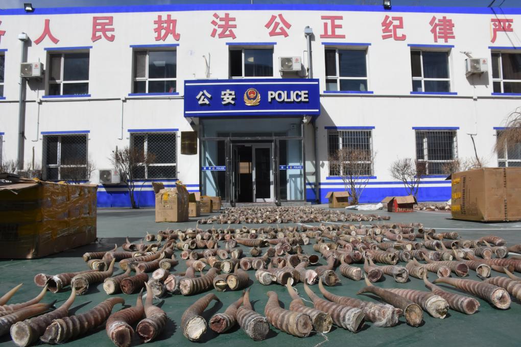 精品无码国产自产拍在线观看 正逐渐赢得越来越多人的关注