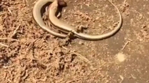 国产精品一区二区在钱播放 精品垂直领域的区区钱播作品