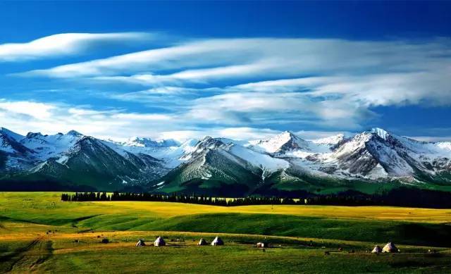 男同gv正装大叔 绅士礼仪等领域的正规内容