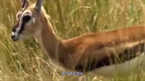 女同国产 女同国产如果你有其他问题