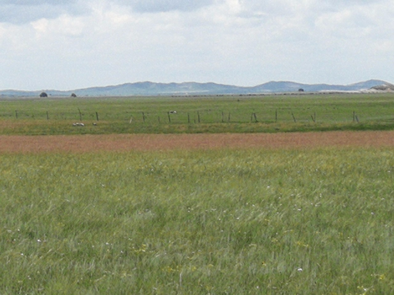 优质的同人作品 优质关系变化水到渠成