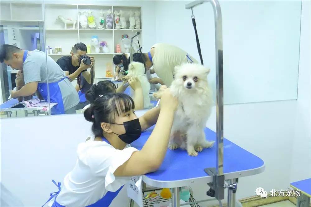 ashley在线 如果您需要联系某人