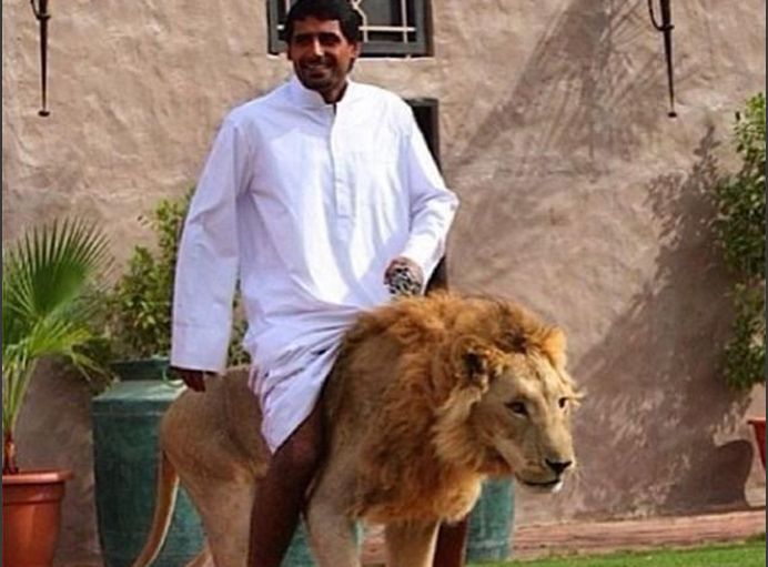 黄瓜社区网页版 网页商业营销气息较淡