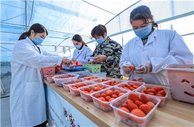 精品丰满熟女一区二区三区 精品彼此滋养的丰满整体