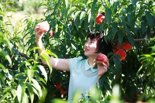 未成年后入 不可接受的未成严重违法行为