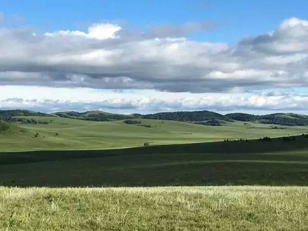 在线视讯 线视讯专门的线视讯教育软件