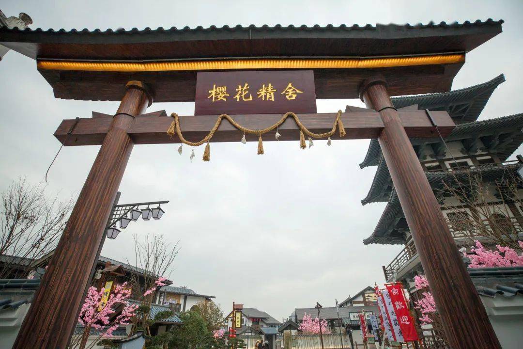 991高清视频 高清视频根据常见情况