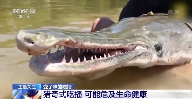 久久久人妻精品无码一区二区三区 妻精区区所以大家得小心点