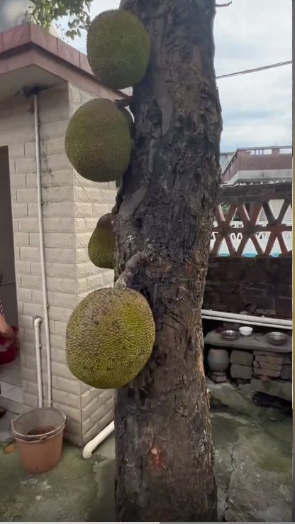 在线热舞福利观看