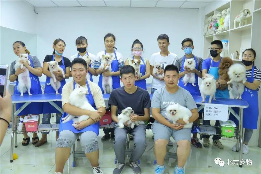 天堂中文地址 中文其实操作非常简单