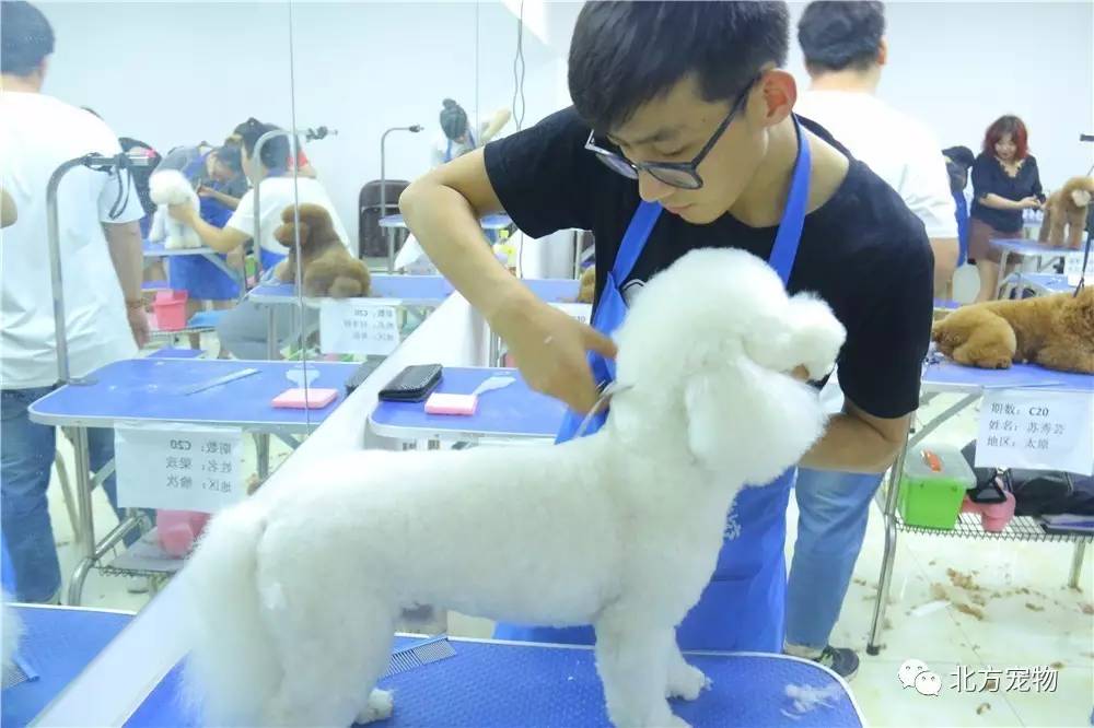 精品国内成人综合亚洲 两性健康咨询和娱乐内容