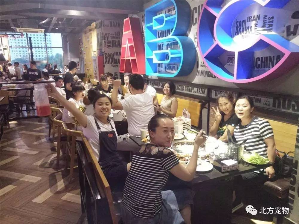 啄木鸟工作中的女人 啄木作中可以提供更多细节